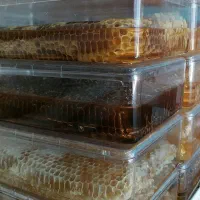 عسل کریستال سراب|خوردنی و آشامیدنی|تهران, مرزداران|دیوار