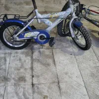 دو عدد دوچرخه سالم ۱۲ و ۱۶