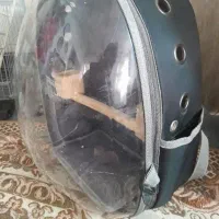 کوله پشتی|لوازم جانبی حیوانات|مشکین‌دشت, |دیوار