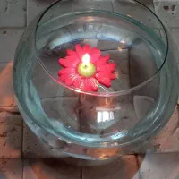 شمع گل بابونه شناور در آب