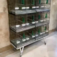 قفس شش خان اردشیر