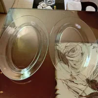 ۲ عدد دیس پیرکس اصل فرانسه سالم دونه ۵۰۰