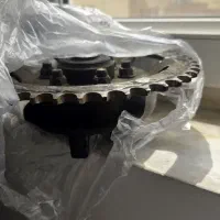 خورشیدی بنلی