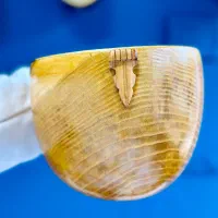 دوتار زیبا و با کیفیت|سازهای سنتی|شیروان (خراسان), |دیوار