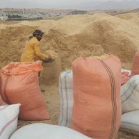 کاه نوخود کرمانشاه|خدمات باغبانی و درختکاری|اصفهان, آزادان|دیوار