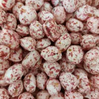 فروش عمده اب نبات سید با کیفیت بالا