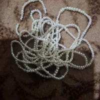مرواریداصل پرورشی