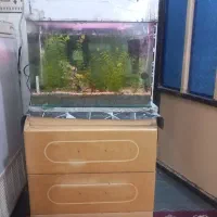 اکفریوم باتمام وسائل اصل بامیز