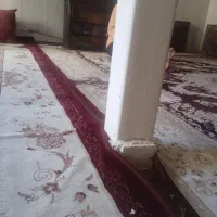 همخونه میخو ام