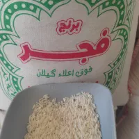 برنج فجروهاشمی تحفه ای از شالیزارهای گیلان تالش