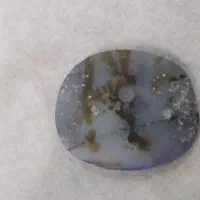 سنگ شجر سوزنی|کلکسیون اشیاء عتیقه|کرمانشاه, |دیوار