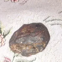 سنگ مغناطیسی گه جذب میخ فلز میباشد