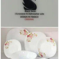 ظروف پذیرایی آرکوپال نونو