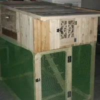 لانه مرغ و پرنده