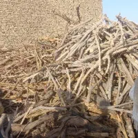 فروش چوب باغی|خدمات باغبانی و درختکاری|یزد, |دیوار