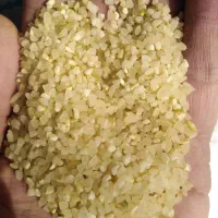 برنج کامفیروزی نو|خوردنی و آشامیدنی|شیراز, پشم شیشه|دیوار