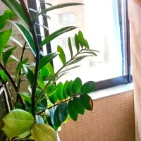 قیمت شگفت انگیز در/ویلاشهربلوار آموزش/82متر2خواب|فروش آپارتمان|گرگان, |دیوار