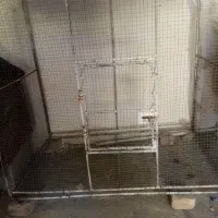 قفس خوشکل نقلی