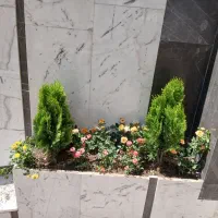 خدمات باغبانی باغچه کاری تعویض خاک باغچه|خدمات باغبانی و درختکاری|تهران, پونک|دیوار
