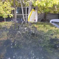 جکS3درحد صفر مدل 1402|خودرو سواری و وانت|شیراز, دوکوهک|دیوار