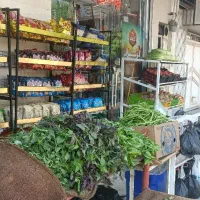 اجاره مغازه در مربی