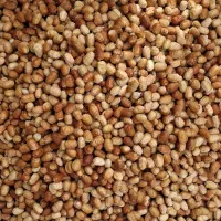 سنجد|خوردنی و آشامیدنی|خسروشاه, |دیوار