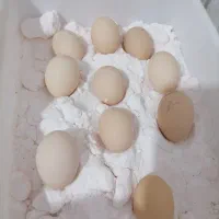 تخم مرغ ویاندنت بلورد