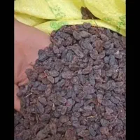 کشمش آفتابی آبگیری درجه یک تاکستان|خوردنی و آشامیدنی|تهران, جیحون|دیوار