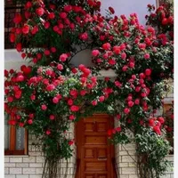 باغبانی وسمپاشی منطقه دماوند ومهراباد آبسرد|خدمات باغبانی و درختکاری|تهران, تهرانپارس غربی|دیوار