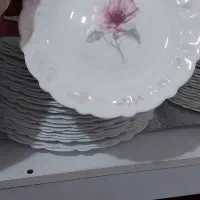 سرویس ۳۰ نفره آرکوپال سالم بدون خط و خش|ظروف سرو و پذیرایی|شاهینشهر, نظامی|دیوار