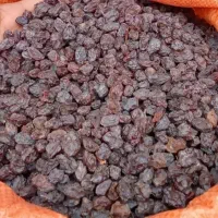 نماینده کشمش ومویز شیراز