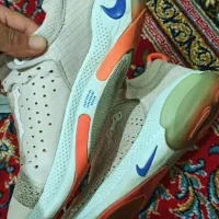 کفش|کیف، کفش، کمربند|کوهدشت, |دیوار