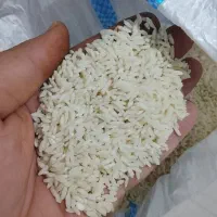 برنج طارم روستای بوژان عمده کیلو ۳۹۵