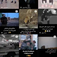 پیج 12/5کاملا واقعی بدون یک دونه فیک|لوازم جانبی موبایل و تبلت|لیردف, |دیوار