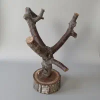 انواع چوب نشیمن پرندگان