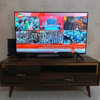 تلویزیون اسنوا