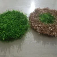 اسکاچ ظرفشویی