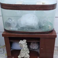 آکواریوم شیشه خم بامیز و تمام لوازم|ماهی|مشهد, رستگار|دیوار