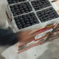 خرما دو ردیف روداب کیفت عالی