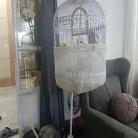 قفس|لوازم جانبی حیوانات|مشهد, پنجتن|دیوار
