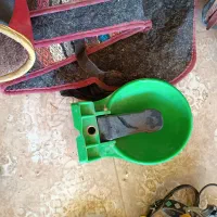 لوازم کامل سوارکاری|اسب و تجهیزات اسب‌سواری|میبد, |دیوار