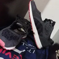 zxاکومنت صندل