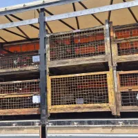 بنز تک باری مسقف ریلی|خودرو سنگین|قزوین, |دیوار