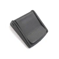 سگک کفش و کیف