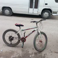 دوچرخه 24 ویوا حرفه ای