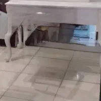 فروش فوری کلیه تجهیزات آرایشگاه زنانه|آرایشگاه و سالنهای زیبایی|شیراز, معالیآباد|دیوار