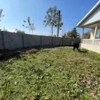 خانه ویلایی ۵۰۰متر و بنا ۱۲۰متر سند تک برگ|فروش خانه و ویلا|ماسال, |دیوار