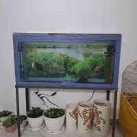 آکواریم می‌خوام بفروشم|ماهی|قوچان, |دیوار