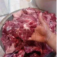 گوشت گوساله کشتار روز و محصولات پروتیینی دهقان