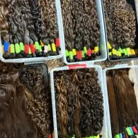 خریدار اصلی مو طبیعی و رنگی